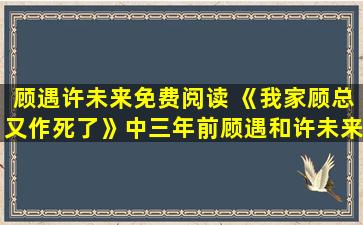 顾遇许未来免费阅读 《我家顾总又作*了》中三年前顾遇和许未来有什么误会